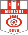 Escudos de fútbol de Rumanía 14