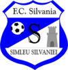 Escudos de fútbol de Rumanía 35