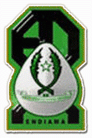 Escudos de fútbol de Angola 22